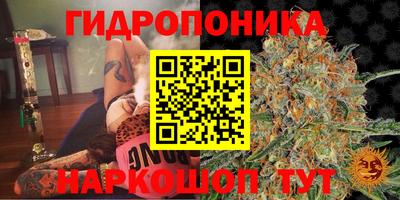 дживик Партизанск