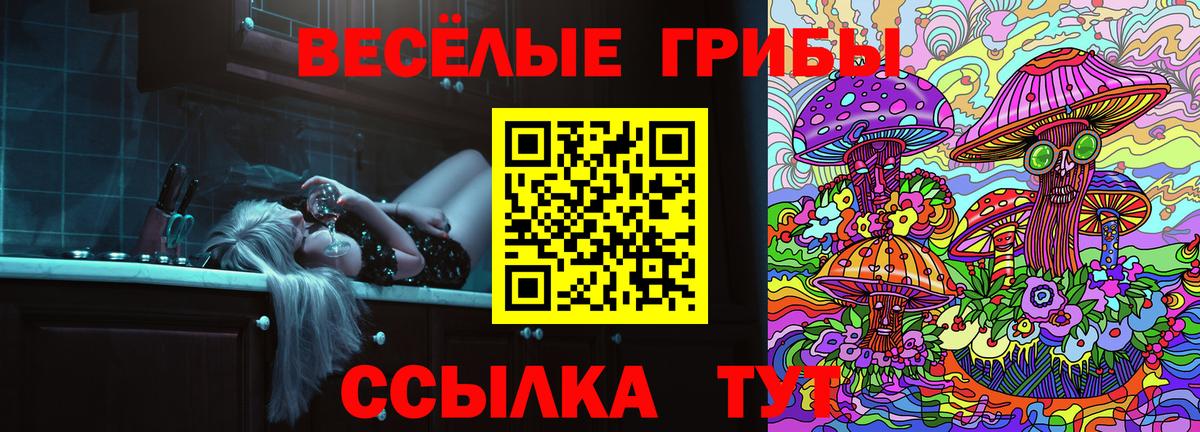 Галлюциногенные грибы GOLDEN TEACHER Таганрог