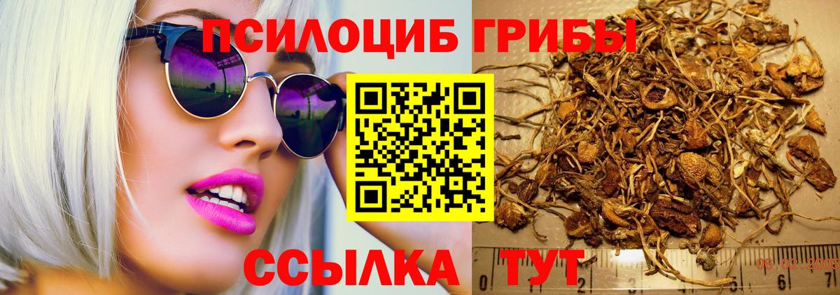 Галлюциногенные грибы Magic Shrooms  Вход с VPN  Таганрог 