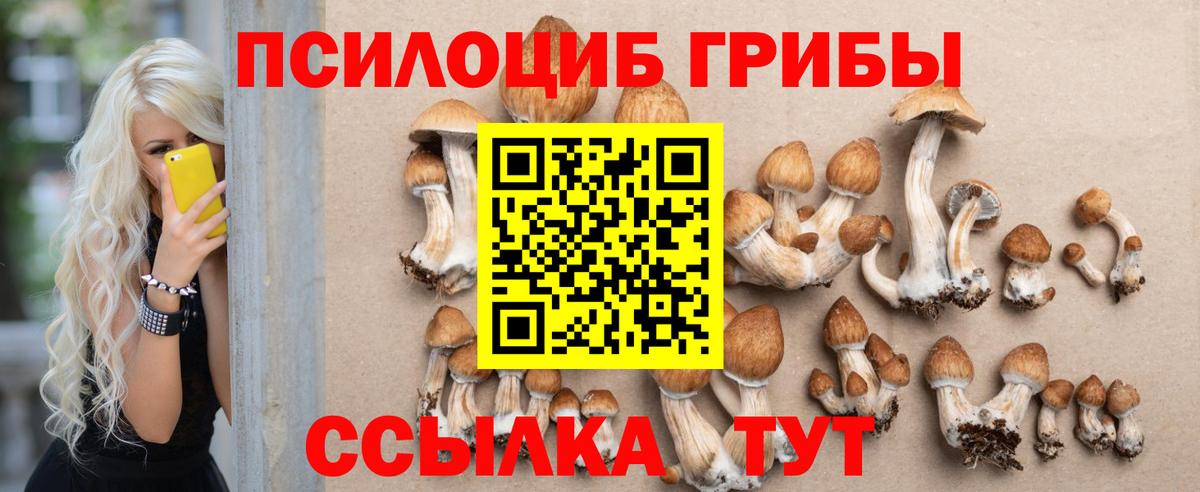 Каннабис  Таганрог  Мефедрон   ГАШ  Вход с VPN 